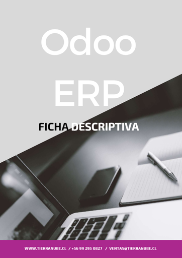 Ficha Descriptiva ERP